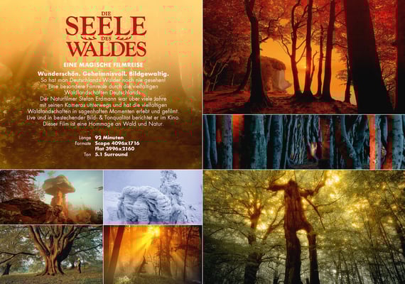 Die Seele des Waldes