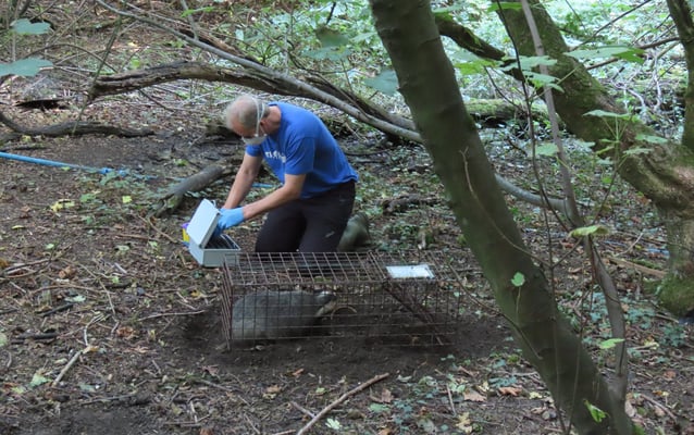 Vaccination coming up!