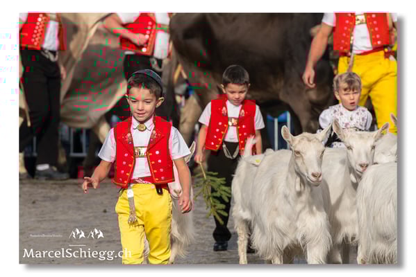 Marcel Schiegg Fotografie, Brauchtum, Tradition, Appenzell, Appenzellerland