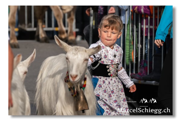 Marcel Schiegg Fotografie, Brauchtum, Tradition, Appenzell, Appenzellerland