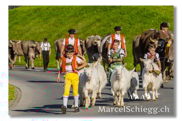 Marcel Schiegg Fotografie, Tradition, Brauchtum, Alpfahrt, Oeberefahre, Appenzell, Appenzellerland