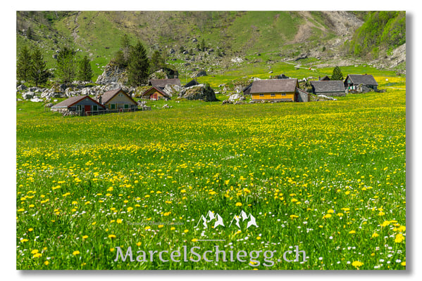 Marcel Schiegg Fotografie, Marcel Schiegg, Seealpsee, Alpstein, Appenzell, Appenzellerland