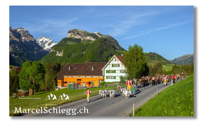 Marcel Schiegg Fotografie, Tradition, Brauchtum, Alpfahrt, Oeberefahre, Appenzell, Brülisau, Ebenalp, Appenzeller Bauernhaus