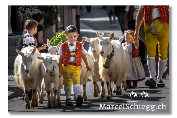 Marcel Schiegg Fotografie, Tradition, Brauchtum, Alpfahrt, Oeberefahre, Appenzell, Appenzellerland