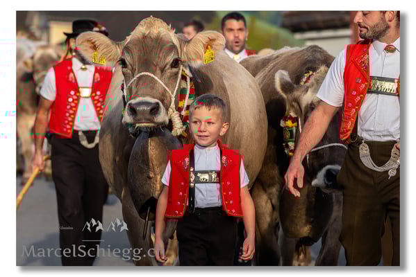 Marcel Schiegg Fotografie, Brauchtum, Tradition, Appenzell, Appenzellerland