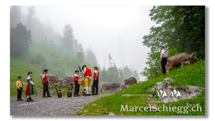 Marcel Schiegg Fotografie, Tradition, Brauchtum, Alpfahrt, Oeberefahre, Appenzell, Appenzellerland, Alpstein, Sämtis, Berggasthaus Plattenbödeli