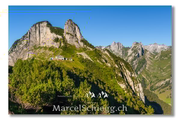 Staubern Art.-Nr. MZ7-4943