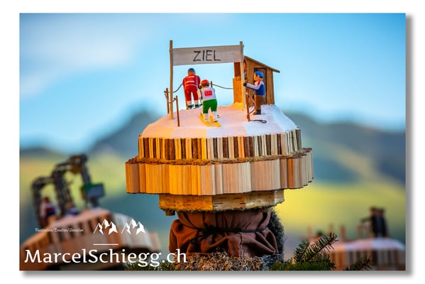 Silversterchlausen Art.-Nr. DSC-2532