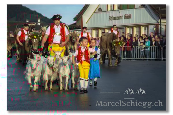Marcel Schiegg Fotografie, Brauchtum, Tradition, Appenzell, Appenzellerland