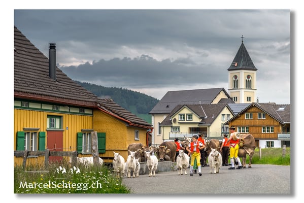 Marcel Schiegg Fotografie, Tradition, Brauchtum, Alpfahrt, Oeberefahre, Brülisau, Sämtis