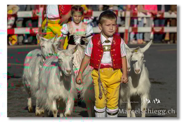 Marcel Schiegg Fotografie, Brauchtum, Tradition, Appenzell, Appenzellerland