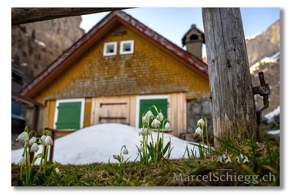 Marcel Schiegg Fotografie, Marcel Schiegg, Seealpsee, Alpstein, Appenzell, Appenzellerland