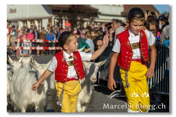 Marcel Schiegg Fotografie, Brauchtum, Tradition, Appenzell, Appenzellerland