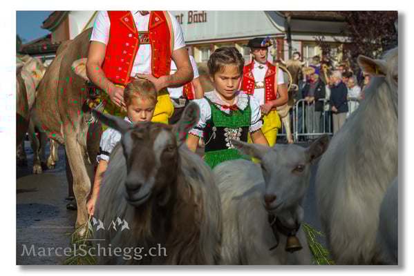 Marcel Schiegg Fotografie, Brauchtum, Tradition, Appenzell, Appenzellerland