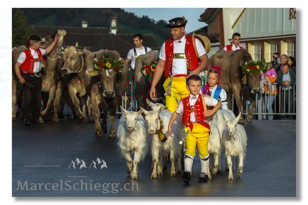 Marcel Schiegg Fotografie, Brauchtum, Tradition, Appenzell, Appenzellerland