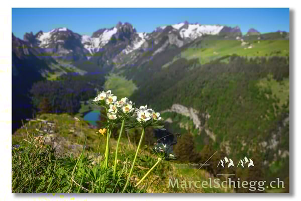Marcel Schiegg Fotografie, Marcel Schiegg, Hoher Kasten, Alpstein