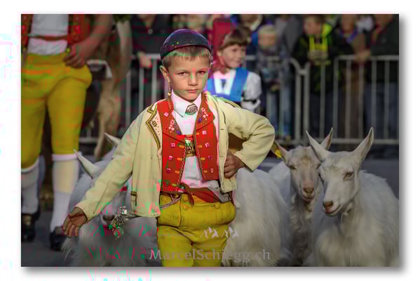 Marcel Schiegg Fotografie, Brauchtum, Tradition, Appenzell, Appenzellerland