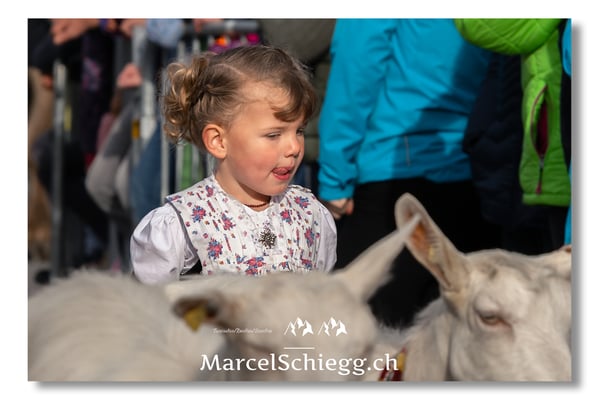 Marcel Schiegg Fotografie, Brauchtum, Tradition, Appenzell, Appenzellerland