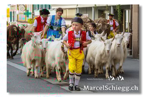 Marcel Schiegg Fotografie, Seealp, Hauptgasse, Tradition, Brauchtum, Alpfahrt, Oeberefahre, Appenzell, Ziegen, Gässbueb, Ziegenbub