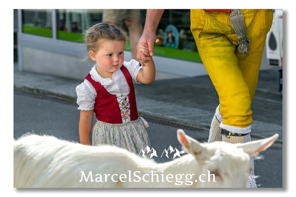 Marcel Schiegg Fotografie, Tradition, Brauchtum, Alpfahrt, Oeberefahre, Appenzell, Appenzellerland