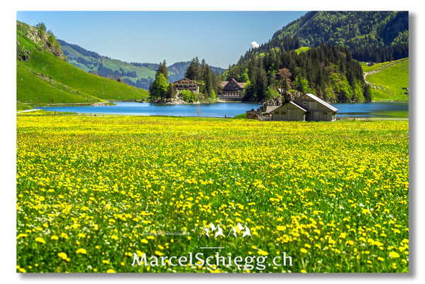 Marcel Schiegg Fotografie, Marcel Schiegg, Seealpsee, Alpstein, Appenzell, Appenzellerland