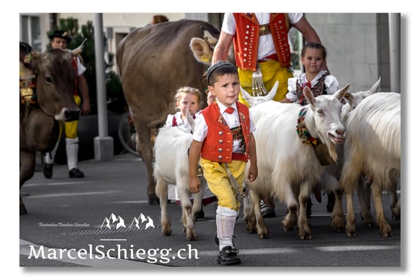 Marcel Schiegg Fotografie, Tradition, Brauchtum, Alpfahrt, Oeberefahre, Appenzell, Appenzellerland