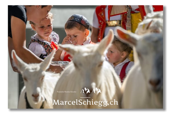Marcel Schiegg Fotografie, Tradition, Brauchtum, Alpfahrt, Oeberefahre, Appenzell, Appenzellerland