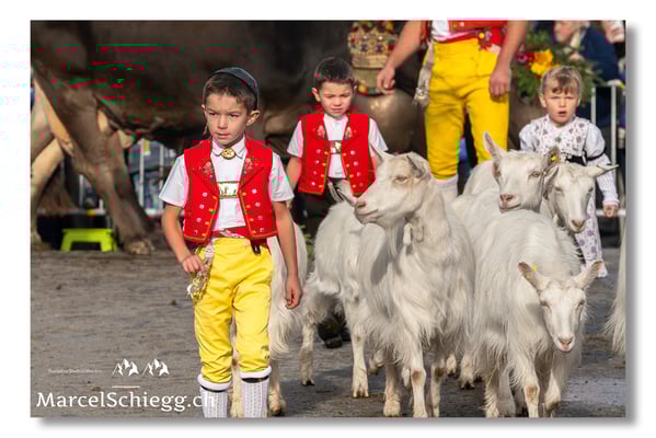 Marcel Schiegg Fotografie, Brauchtum, Tradition, Appenzell, Appenzellerland