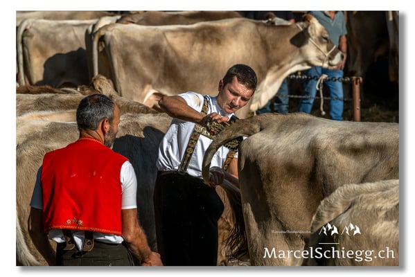 Marcel Schiegg Fotografie, Brauchtum, Tradition, Appenzell, Appenzellerland