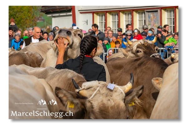 Marcel Schiegg Fotografie, Brauchtum, Tradition, Appenzell, Appenzellerland