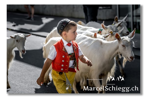 Marcel Schiegg Fotografie, Tradition, Brauchtum, Alpfahrt, Oeberefahre, Appenzell, Appenzellerland