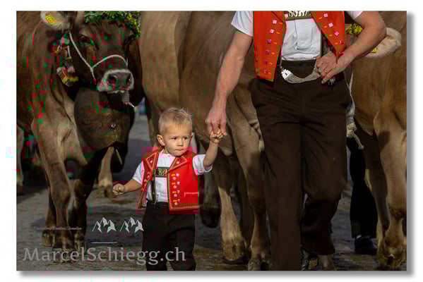 Marcel Schiegg Fotografie, Brauchtum, Tradition, Appenzell, Appenzellerland