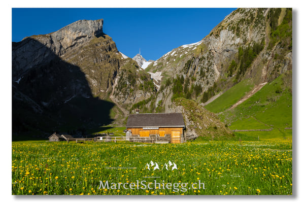 Marcel Schiegg Fotografie, Marcel Schiegg, Seealpsee, Alpstein, Appenzell, Appenzellerland