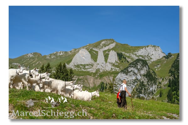 Marcel Schiegg Fotografie, Tradition, Brauchtum, Alpfahrt, Oeberefahre, Appenzell, Appenzellerland, Öberefahre, Alpstein, Dreifaltigkeit