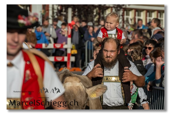 Marcel Schiegg Fotografie, Brauchtum, Tradition, Appenzell, Appenzellerland