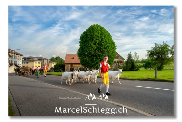 Marcel Schiegg Fotografie, Tradition, Brauchtum, Alpfahrt, Oeberefahre, Appenzell, Appenzellerland