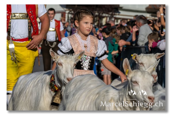 Marcel Schiegg Fotografie, Brauchtum, Tradition, Appenzell, Appenzellerland