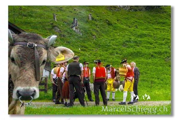 Marcel Schiegg Fotografie, Tradition, Brauchtum, Alpfahrt, Oeberefahre, Appenzell, Appenzellerland, Alpstein, Sämtis