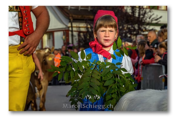 Marcel Schiegg Fotografie, Brauchtum, Tradition, Appenzell, Appenzellerland