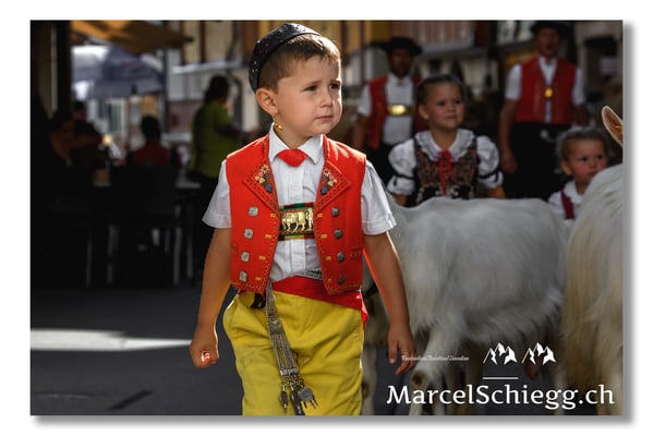 Marcel Schiegg Fotografie, Tradition, Brauchtum, Alpfahrt, Oeberefahre, Appenzell, Appenzellerland