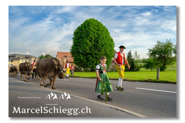 Marcel Schiegg Fotografie, Tradition, Brauchtum, Alpfahrt, Oeberefahre, Appenzell, Appenzellerland