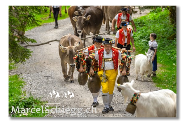 Marcel Schiegg Fotografie, Tradition, Brauchtum, Alpfahrt, Oeberefahre, Appenzell, Alpstein, Sämtis, Senntumschellen, Erwin Koch