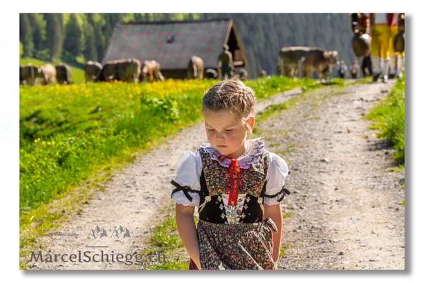 Marcel Schiegg Fotografie, Tradition, Brauchtum, Alpfahrt, Oeberefahre, Appenzell, Appenzellerland, Alpstein, Sämtis