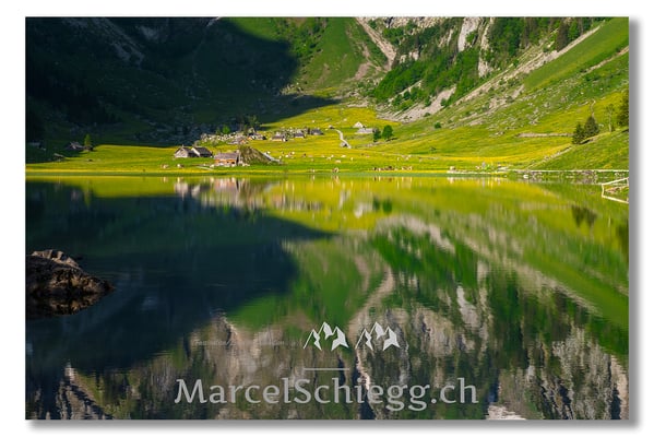 Marcel Schiegg Fotografie, Marcel Schiegg, Seealpsee, Alpstein, Appenzell, Appenzellerland