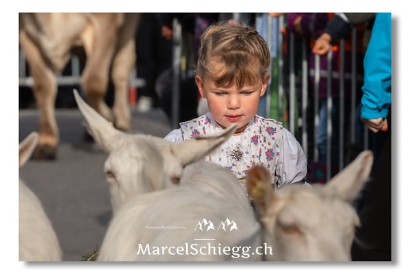Marcel Schiegg Fotografie, Brauchtum, Tradition, Appenzell, Appenzellerland