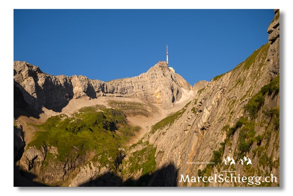 Mesmer/Säntis Art.-Nr. MZ8-6372/25