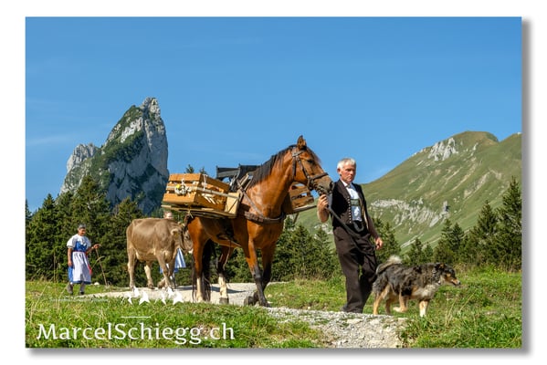 Marcel Schiegg Fotografie, Tradition, Brauchtum, Alpfahrt, Oeberefahre, Appenzell, Appenzellerland, Öberefahre, Alpstein