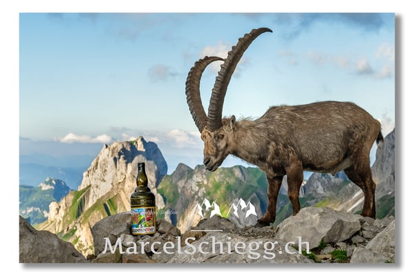 Steinbock/Alpstein Art.-Nr. MZ7-4083