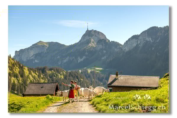 Marcel Schiegg Fotografie, Tradition, Brauchtum, Alpfahrt, Oeberefahre, Appenzell, Appenzellerland, Alpstein, Sämtis, Hoher Kasten