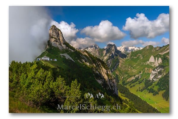 Staubern Art.-Nr. MZ7-1028